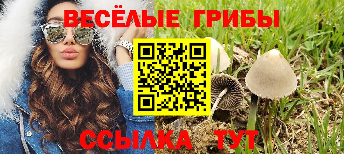 Галлюциногенные грибы прущие грибы  Вход с VPN  купить  сайты  Назарово 